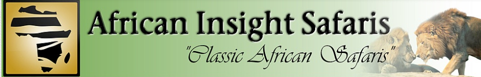 African Insight Safaris