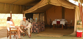 Africa Joy Tours