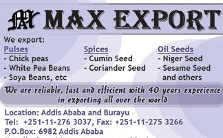 Max Export