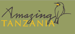 Amazing Tanzania