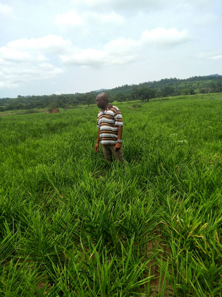 Jeremy Resources Ghana Ltd.