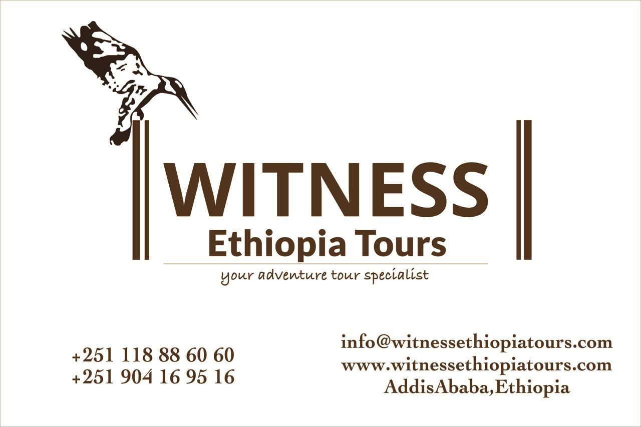 Witness Ethiopia Tours