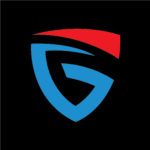G FORCE Security 