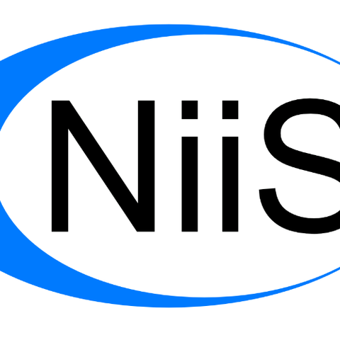 Nigerian Institute for Industrial Security (NiiS)