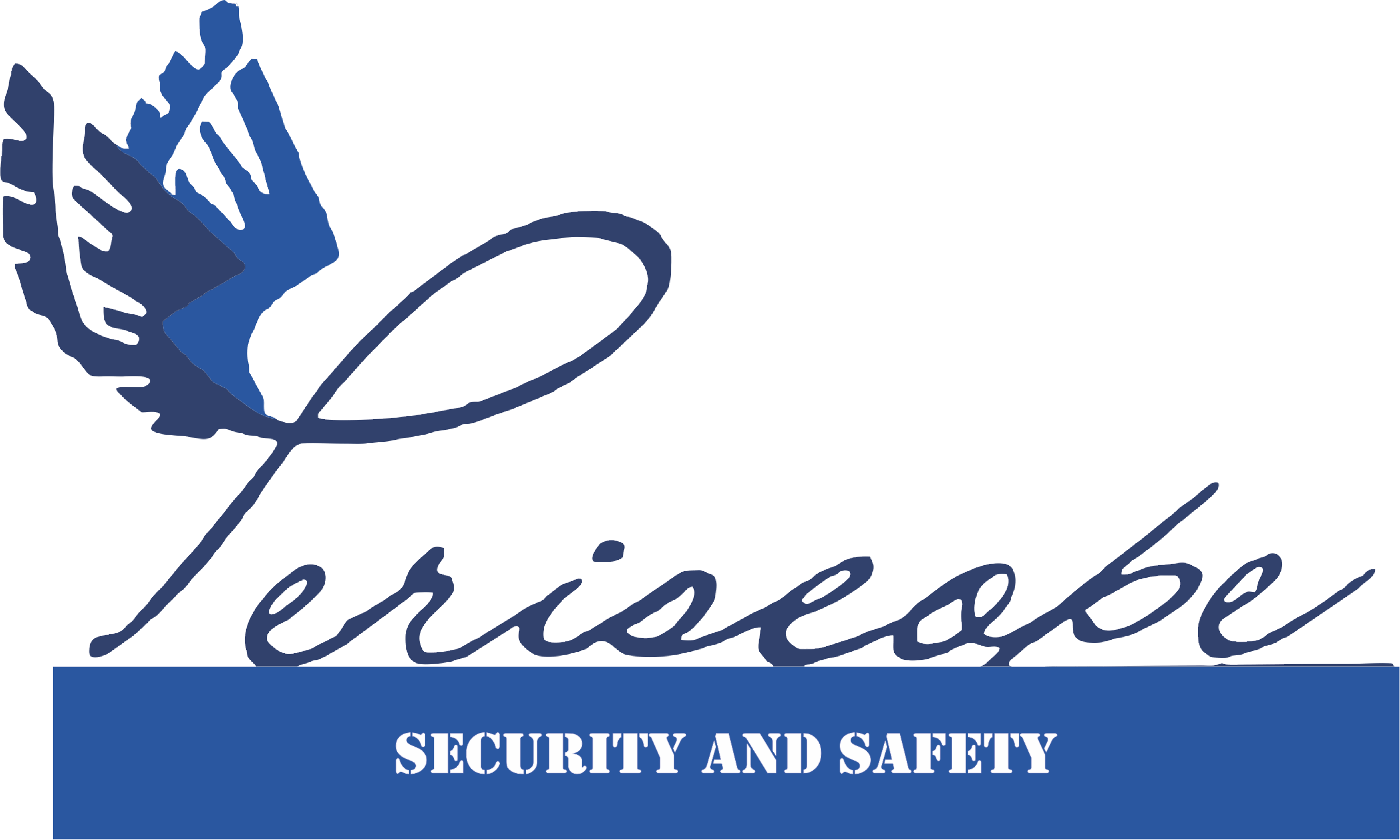 Periscope Security & Safety Ltd.