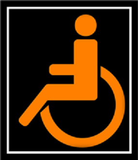 Mr Wheelchair 