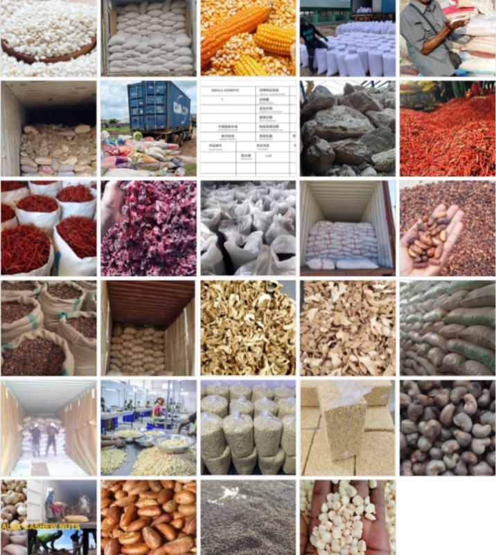 Hammerlex International Ltd. 