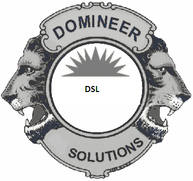 Domineer Solutions Ltd.