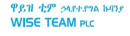 Wise Team PLC