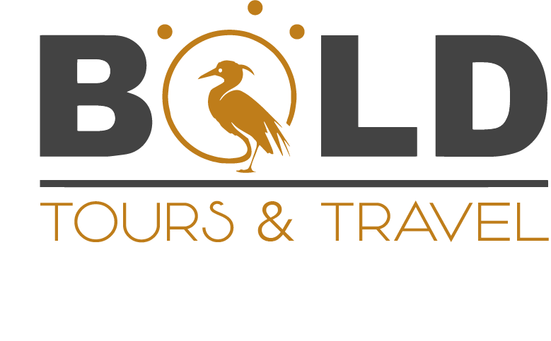 Bold Tours and Travel