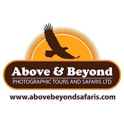 ABOVE & BEYOND PHOTOGRAPHIC TOURS AND SAFARIS LTD.