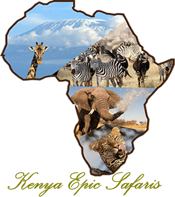 Kenya Epic Safaris