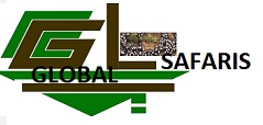 GLOBAL HOTELS AND SAFARIS 