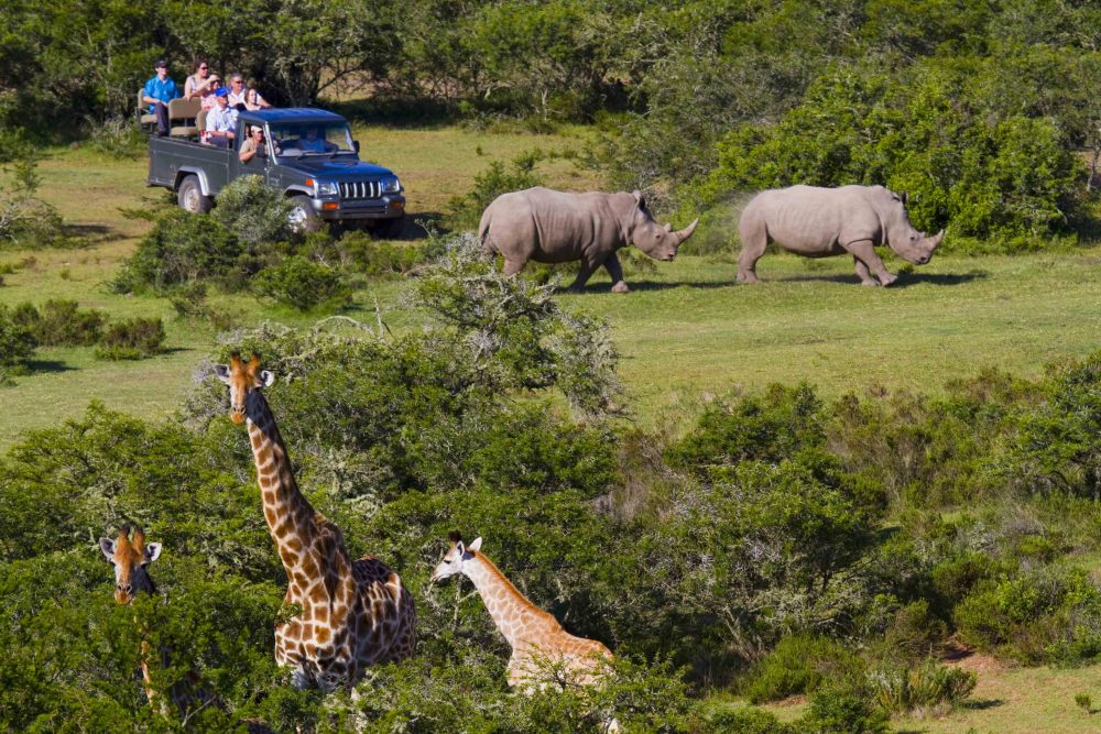 Orongai Africa Safari