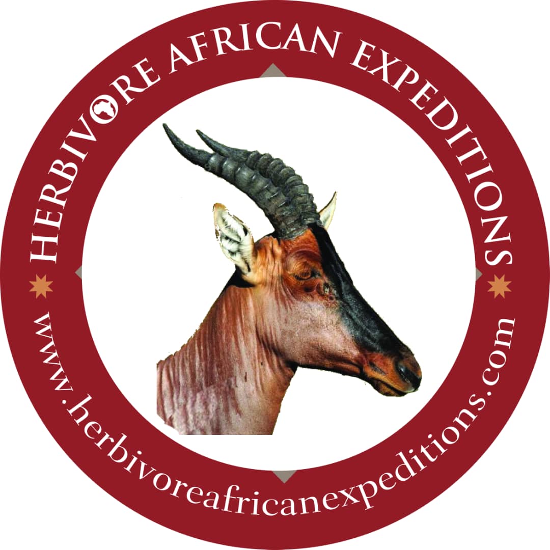 HERBIVORE AFRICAN EXPEDITIONS LTD.