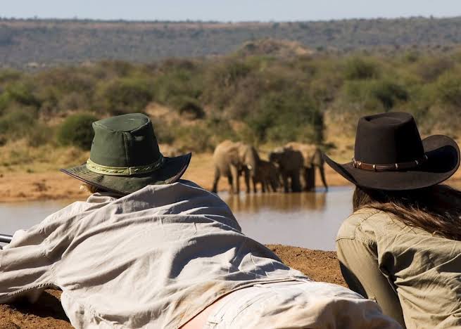 Masai Africa Safaris