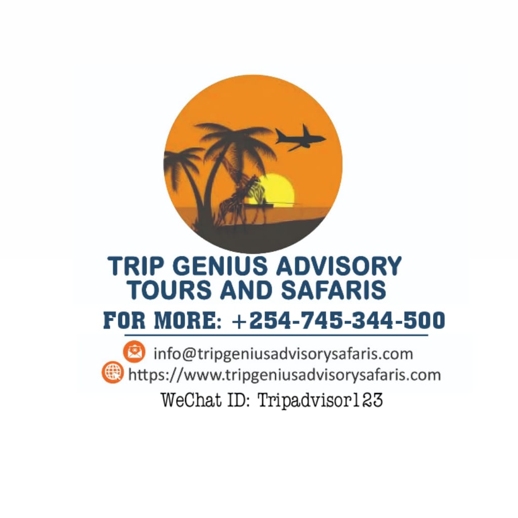 Trip Genius Advisory Tours & Safaris