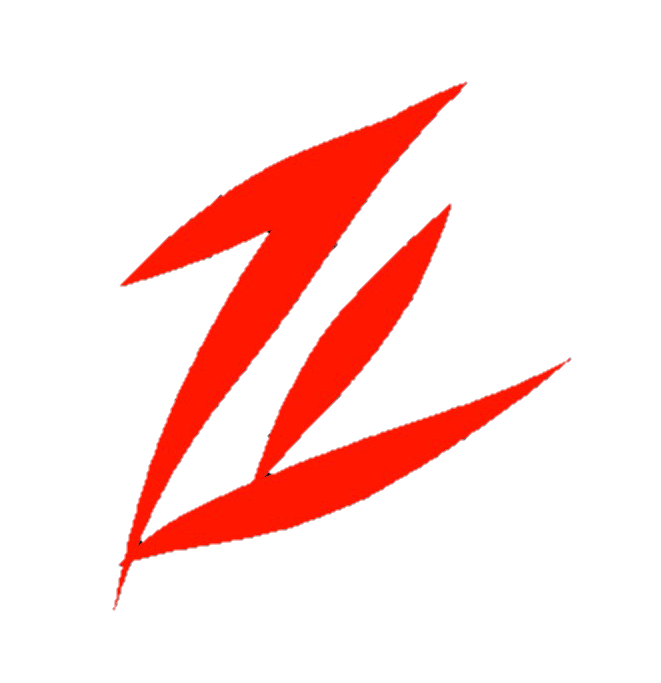 Zimmer Security 