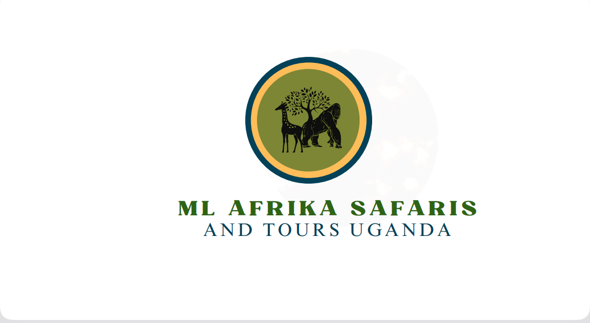 ML AfrikaSafaris and Tours