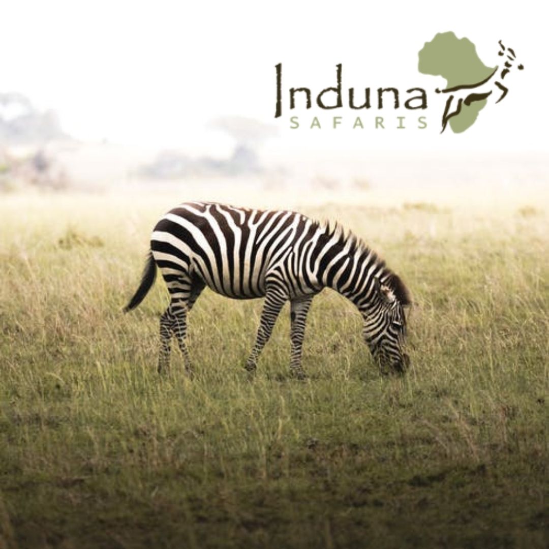 Induna Safaris