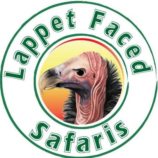 Lappet Faced Safaris