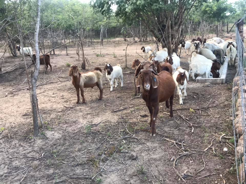 First Choice Farmers