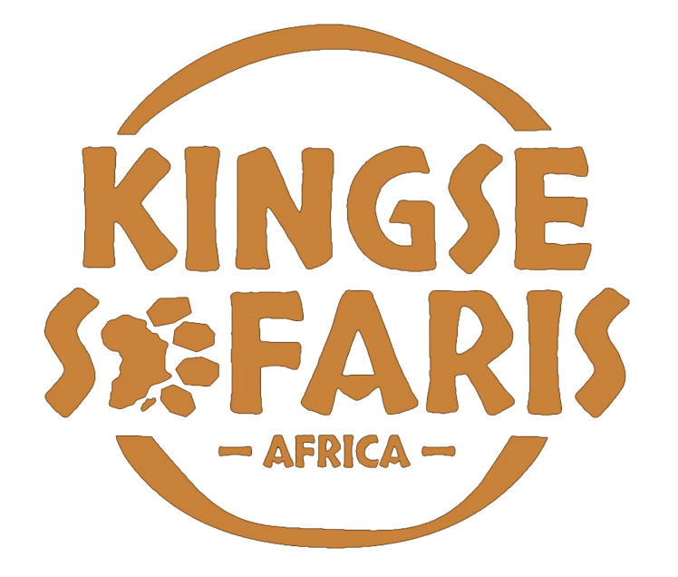 Kingse Safaris