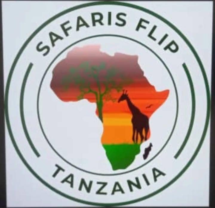 SAFARIS FLIP