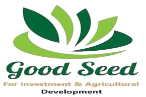 Good Seed
