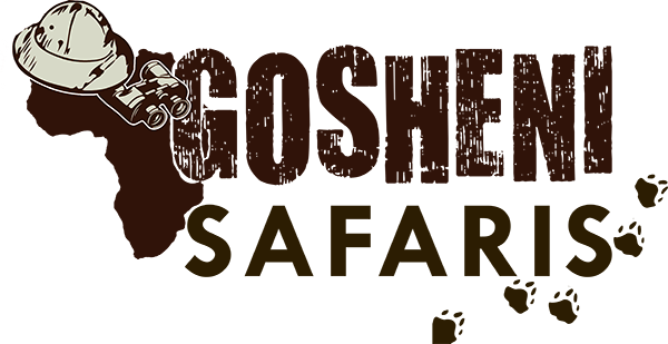 Gosheni Safaris