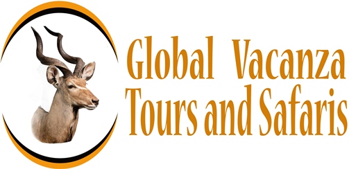 Global Vacanza Tours and Safaris
