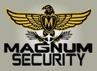 Magnus Security