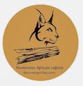 Numinous African Safaris