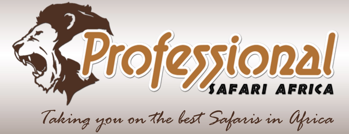 Professional Safari Africa