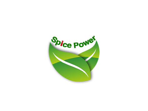 SPICEPOWER IMPORT & EXPORT CO.