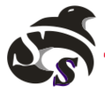 SKYLINE SALES AND SERVICES