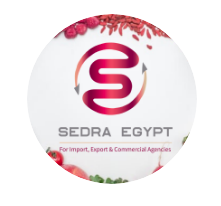 Sedra Egypt