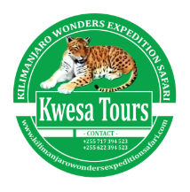 Kwesa Tours