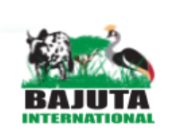 Bajuta International