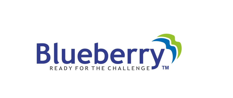 Nam Blueberry 