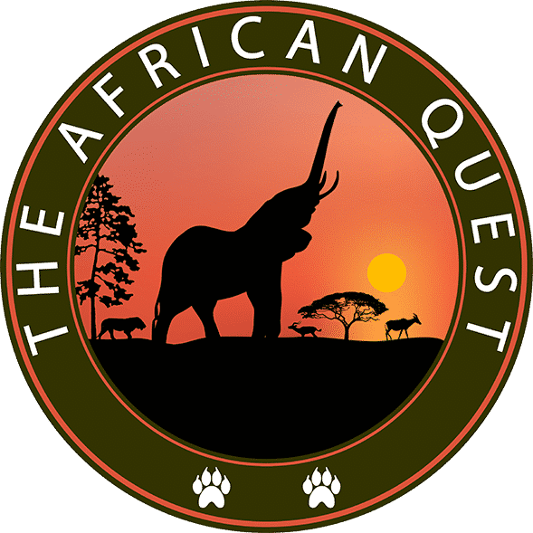 The African Quest