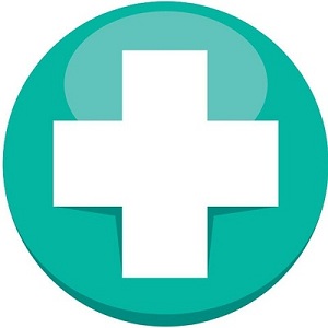 The Medical Society