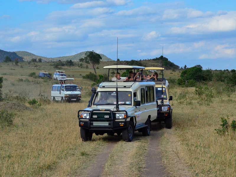 NNINZI TOURS & HOLIDAY SAFARI CO.