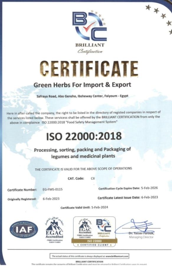 Green Herbs Export