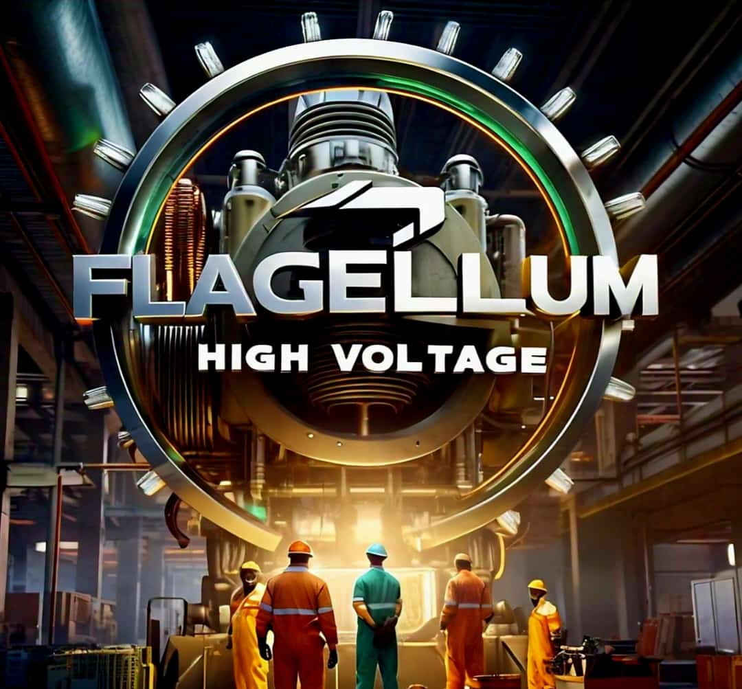 FLAGELLUM ZAMBIA