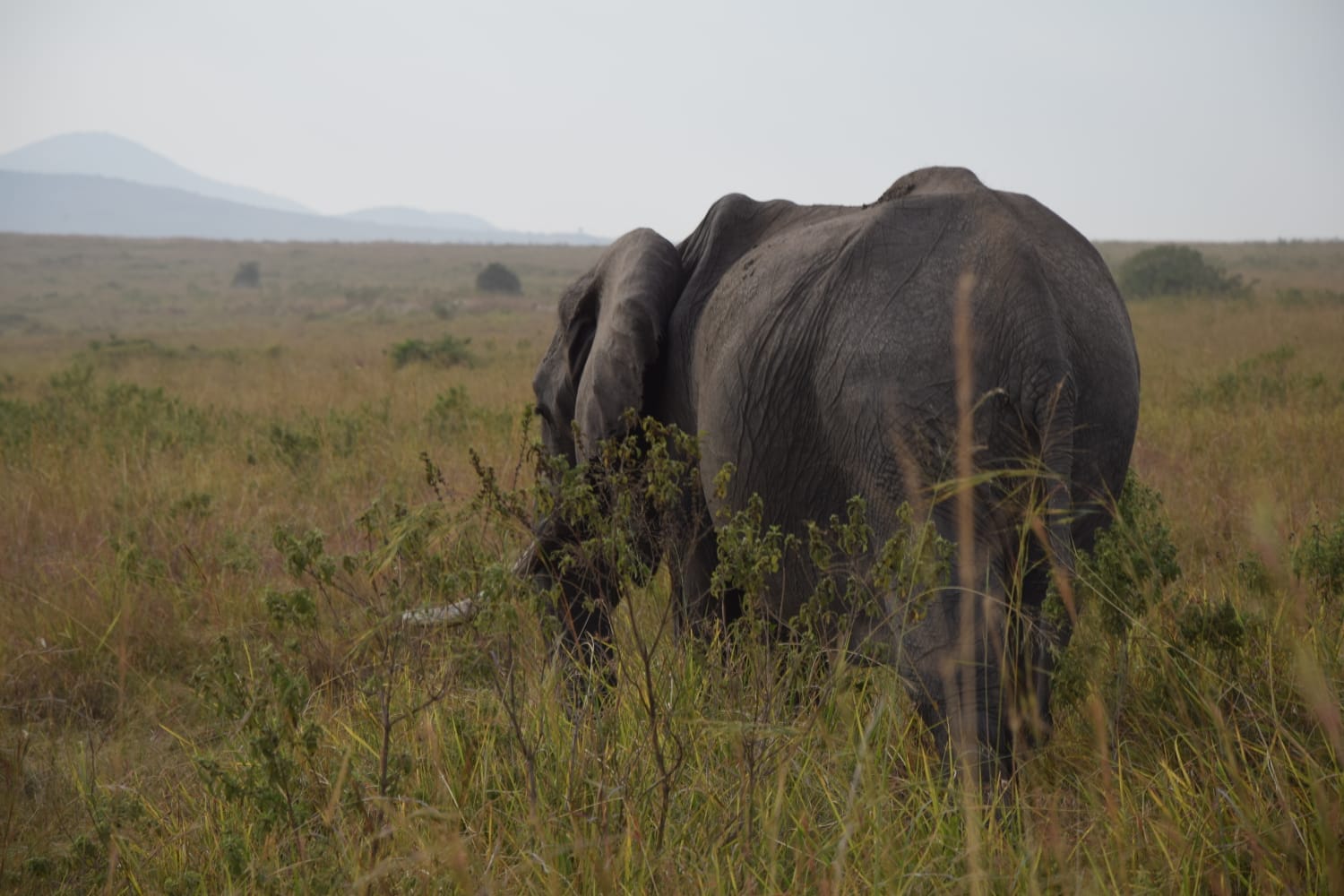 Harmony Backpacker Safaris