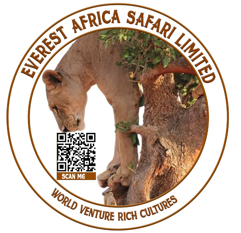 Everest Africa Safari