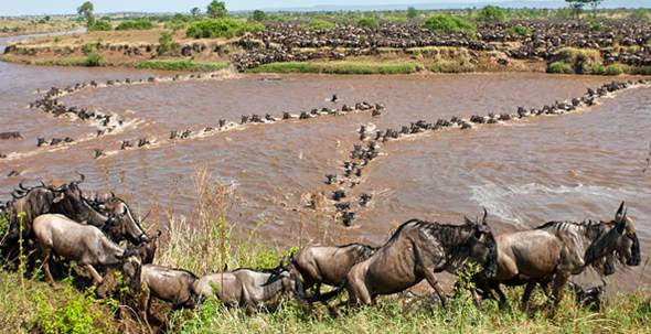 African Home Adventure Safaris
