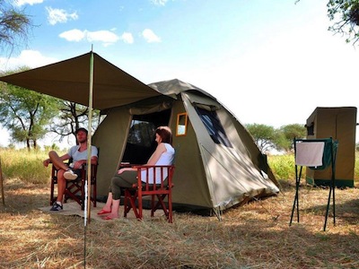 Stebar Safaris Ltd.