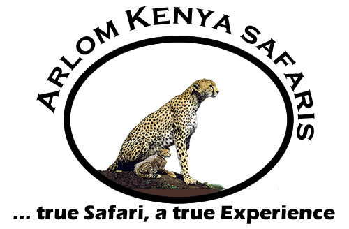 Arlom Kenya Safaris